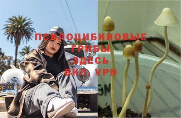 эйфоретик Мегион