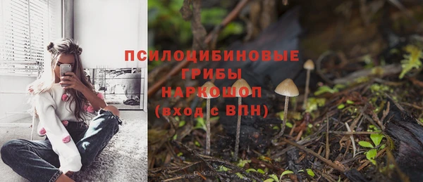первитин Медногорск