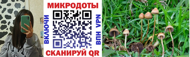 Купить где Заозёрный Галлюциногенные грибы Cubensis